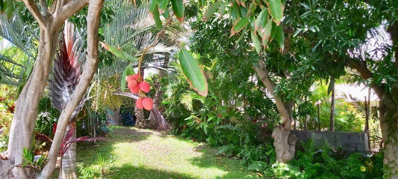 Villa Tropicale - Meuble De Tourisme 4 Etoiles Saint-Gilles-les Bains Ngoại thất bức ảnh